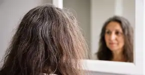 Foto: (Imagem sem texto alternativo disponivel ID [2700191])