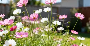 Foto: (Imagem sem texto alternativo disponivel ID [2673360])