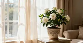 Foto: (Imagem sem texto alternativo disponivel ID [2671405])