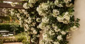 Foto: (Imagem sem texto alternativo disponivel ID [2710773])