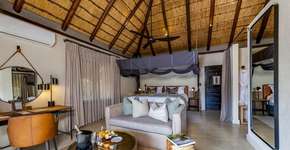 Foto: (Divulgação)