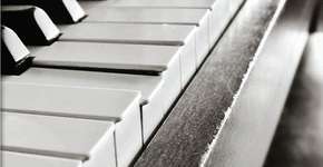 Foto: (Imagem sem texto alternativo disponivel ID [1852168])