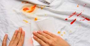 Foto: (Imagem sem texto alternativo disponivel ID [817356])