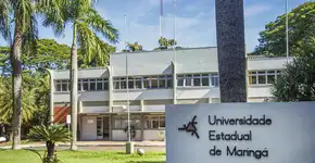 Foto: (Divulgação)