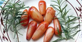 Cunha (SP) comemora temporada de pinhão com festa