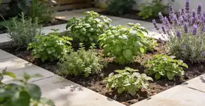 Foto: (Imagem sem texto alternativo disponivel ID [2682895])