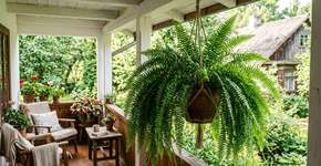 Foto: (Imagem sem texto alternativo disponivel ID [2788850])