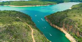 Foto: (Istock/vbacarin)