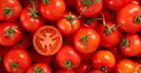 Entenda como consumir tomate para ajudar a baixar pressão alta