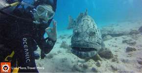 Um mergulho na Grande Barreira de Corais, na Austrália