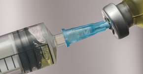 Foto: (iStock/Marina Gordejeva)