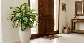 Foto: (Imagem sem texto alternativo disponivel ID [2756124])