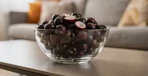 Foto: (Imagem sem texto alternativo disponivel ID [2736161])