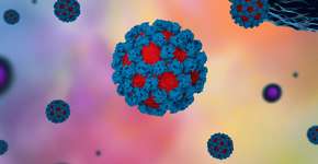 Foto: (Meletios Verras/istock)