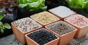 Estudo encontra relação entre alto consumo deste mineral e câncer