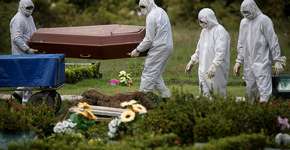 Foto: (Amazônia Real/Fotos Públicas)