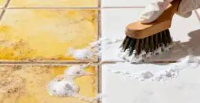 Foto: (Imagem sem texto alternativo disponivel ID [2669010])