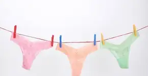 Foto: (Imagem sem texto alternativo disponivel ID [1862499])