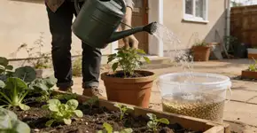 Foto: (Imagem sem texto alternativo disponivel ID [2676871])