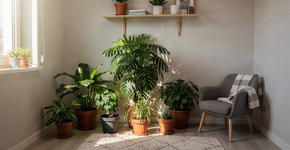 Foto: (Imagem sem texto alternativo disponivel ID [2719589])