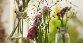 Catraca Livre lança campanha para você mostrar o seu verde na cidade