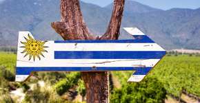 Réveillon: curtir ano novo no Uruguai é escolha inteligente ou furada?