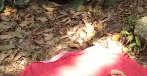 10 dicas para curtir as férias com menos telas e mais natureza