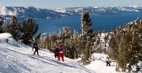 STB tem programa de trabalho nos Estados Unidos