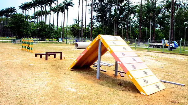 Espaço 4 Patas - Foto Divulgação