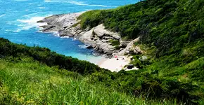 Foto: (Rodrigo Soldon/Flickr)