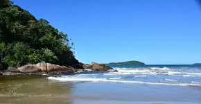 Foto: (Istock/dririchetto)