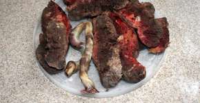 Foto: (Imagem sem texto alternativo disponivel ID [809861])