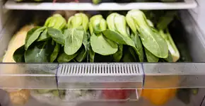 Foto: (Imagem sem texto alternativo disponivel ID [2726379])