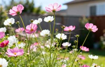 Secondary news: Pátio vazio vira jardim colorido antes do carnaval com plantas fáceis semeadas em dezembro