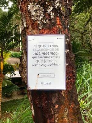 Árvores da sabedoria no jardim do Rituaali