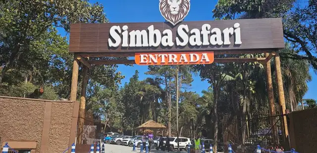 Simba Safari