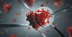 Foto: (Stockcrafter/istock)