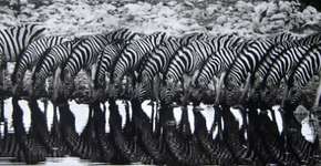 Foto: (Imagem sem texto alternativo disponivel ID [376732])