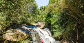 Foto: (Divulgação/Mundaka)