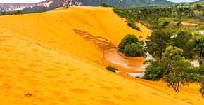 Foto: (Daniel Andrade/Secom-TO)