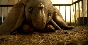 Foto: (reprodução)