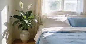 Foto: (Imagem sem texto alternativo disponivel ID [2680649])