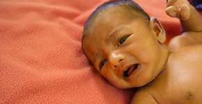 Foto: (Arindam Ghosh/istock)