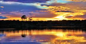 Foto: (Stefan Aernic/Divulgação/Juma Amazon Lodge)