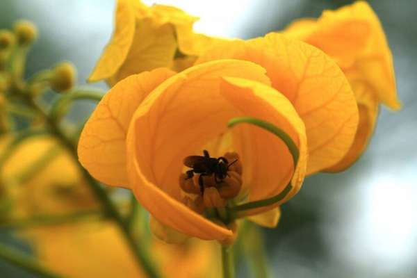 Parque Nacional Serra das Confusões - por Eraldo Peres 