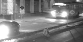 Jovem salva de estupro em GO diz que motoristas negaram ajuda