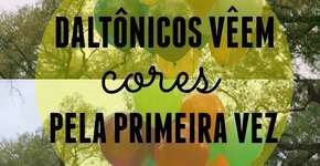 Foto: (Imagem sem texto alternativo disponivel ID [841852])