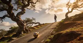 Foto: (Imagem sem texto alternativo disponivel ID [2702632])