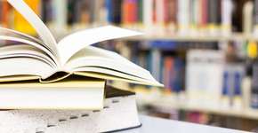 Foto: (Imagem sem texto alternativo disponivel ID [424886])