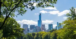 Foto: (Mauro_Repossini/iStock)